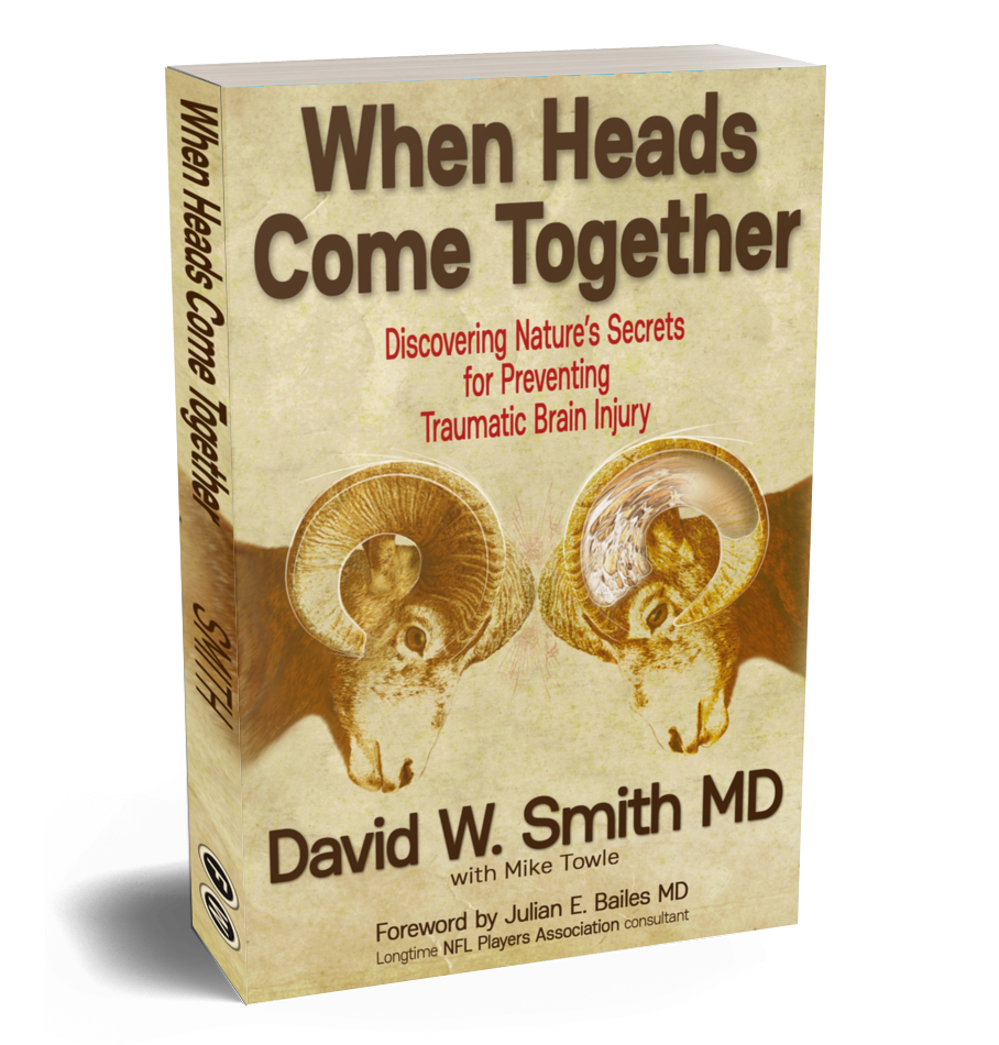 David Smith, Q-Collar, When Heads Collide